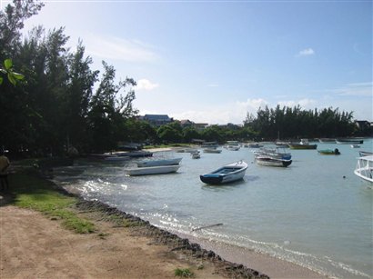 Grand Bay  02-04.jpg